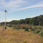 Timber clearing pastureland for real estate development