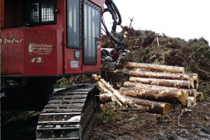 Logging Harvester