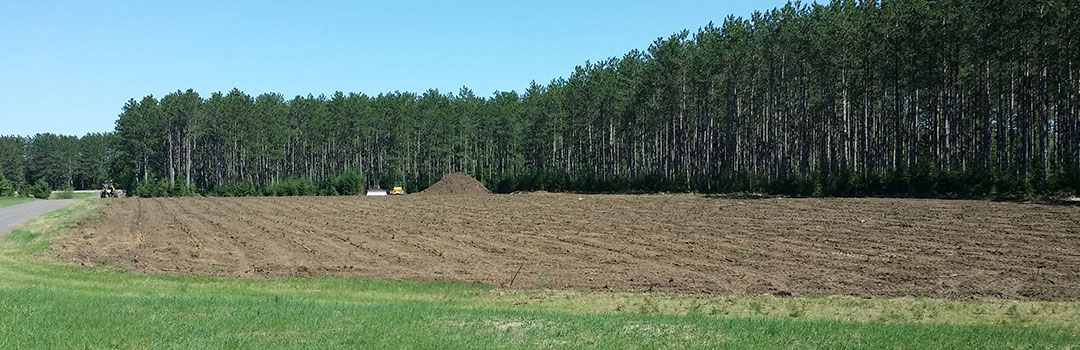 Christmas tree farm clearing in Sawyer County