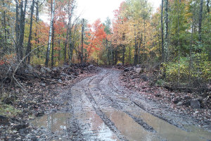 Building roads, dealing with runoff