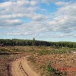 Clearcut timber logging in Bayfield County, Wisconsin