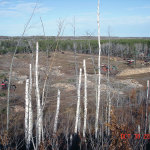 Clearcut timber logging in Bayfield County, Wisconsin