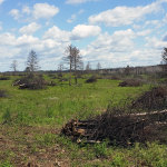 Germann Fire Cleanup in Douglas County, Wisconsin