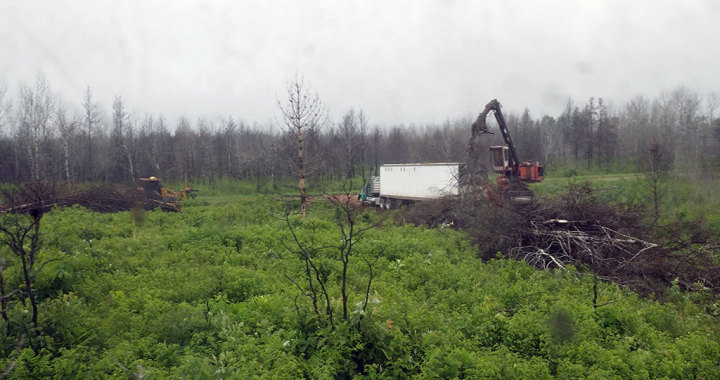 Germann Fire Cleanup in Douglas County, Wisconsin